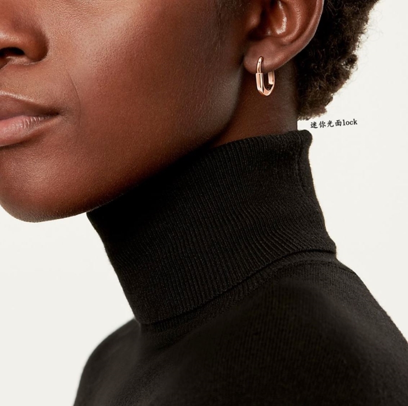 T*f*ny earrings